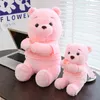 الجملة Sakura Pink Bear Bare Splush Toys Children's Games Playmate Sofa Throw Throw Pillow Send Frivaly Gift