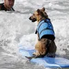 Dog Apparel Life Tank Top Summer Imprimé Pet Jacket Vêtements de sécurité Maillots de bain 230616