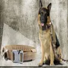 Forniture per animali domestici Accessori per cani Collari per cani di grandi dimensioni Attrezzatura da esterno Collari per cani militari Larghezza 50 cm Fettuccia in nylon a doppio strato 1050D Drfnv