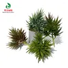 Fiori decorativi Piante succulente simulate Bonsai Sedum sediforme Senza vaso di fiori Fiore artificiale naturale Ortensia Cactus