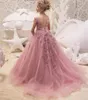 Fille Robes Blush Rose Dentelle Fleur Occasion Spéciale Pour Les Mariages Plume Enfants Pageant Robes Robe De Bal Tulle Première Communion Dre