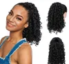 10-Inch Drawstring Ponytail for Women - Variety of Curly Styles - Easy to Wear - Perfect for All Occasions - High Quality and Affordable