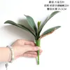 Decorative Flowers Artificial Flower Succule Green Plant Phalaenopsis Clivia Leaf For Home Decoration Wedding Wall Fake Wholesale