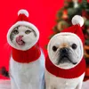 Hond Kleding Mode Huisdier Geweven Wol Hoed Voor Kerst Kat Kap Kleine Honden En Katten Strandfeest Cosplay Kostuum Accessoires To Act Cute