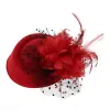 Clips Barrettes Fascinator Chapeaux Bandeau Femmes Plume Fleur Brides Accessoires Mariage