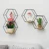 Decorative Objects Figurines Nordic Hexagonal Iron Stand Small Pot Wall Holder Home Shelf Storage Metal Po Rack Shelves 230615