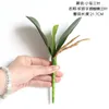 Decorative Flowers Artificial Flower Succule Green Plant Phalaenopsis Clivia Leaf For Home Decoration Wedding Wall Fake Wholesale