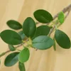 Dried Flowers artificial eucalyptus leaves branches plastic plants mini outdoor wedding home decoration flower arrangement floral accessories