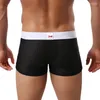 Caleçon Nylon maille sous-vêtements hommes hommes Lingerie de base Sexy Boxer Shorts Modal Boxershorts Hombre Cuecas solide