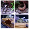 Decorations Fish Tank Aquarium Accessories Ornaments Resin Shipwreck Submarine Aquarium Landscaping Fish Tank Decoration Crafts Pet Supplies 230617