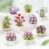 Blocchi Succulente Modello in vaso Blocchi da costruzione Fiori Mini Bouquet di piante Bonsai Decorazione domestica Regalo ragazza Bambini Giocattoli assemblati R230629