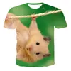 Camiseta Masculina 3D Masculina Feminina Roedor Hamster Camiseta Bonita Estampa Animal Engraçado Bochecha Animal Confortável Topo Gola Redonda