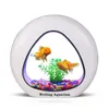 Aquariums Weiting aquarium petit aquarium mini aquarium de bureau créatif aquarium doré éclairage LED est livré avec filtre bronzage de poisson domestique 230617