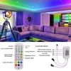 24Key DC 5V 12V 24V Rüya Renk RGB Kızılötesi Denetleyici Bluetooth Uygulama WS2812B WS2811 Ortam LED şerit ışıkları için uzaktan kumanda