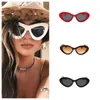 Polarized Womens Sunglasses Driving Cycling Eyeglasses Bicycle Glass Man SPORT Glasses WIND Ladies Round Sunnies Cat Spectacles