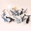 Action Toy Figures Simulation Marine Sea Life Whale Figures Shark Cachalot Action Figures Ocean Animal Model Dolphin Hammerhead Education Toys 230616