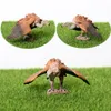 Figuras de brinquedo de ação realistas de plástico estatuetas de aves de rapina águia careca falcão falcão coruja abutre. modelos de animais conjunto educacional 230617