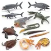 Action Toy Figure 12 PCS Realistic Mini Ancient Marine Animal Model Prehistoric Cambrian Sea Creature Figurine Educational Science set 230617