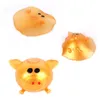 Animales de peluche de peluche Z5 Descompresión Splat Ball Vent Pig Toy Venting Sticky Smash Water Antiestrés Varios tipos Juguetes Adultos Niños Regalo 230617