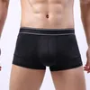 Caleçon Sexy Transparent maille Boxer troncs hommes voir à travers les sous-vêtements U poche convexe slips Ultra-mince culotte Shorts