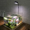 Aquariums Lighting 10W Potted Plants Heat Insulation With Wood Board Waterproof USB Powered Miniature Landscape Aquarium LED Light Home Fish Tank 230617