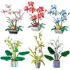 Blocks Eternal Flowers Bonsai Building Blocks Phalaenopsis Bouquets Plants Potted Ornaments Brick Toys For Children Girls Gifts R230701