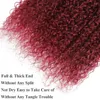 Hair Bulks Curly Human Weave Bundles mit Verschluss 99j Red Extensions für Frauen brasilianisches Burgund 3 4 230617