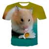 Heren T-shirts 3D Heren Dames Knaagdieren Hamster Leuke print T-shirt Grappige wang Dier Comfortabel Ronde hals Top