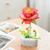 Block Rose Bouquet Vackra blomma Succulents Potted Building Blocks Romantic Kit Assembly Building Toy Girl Gift R230701