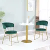 Nordic Light Luxe Onderhandelingstafel Woonkamer Meubels Cafe Dessert Winkel Metalen Stoel Voor Indoor Home Decor