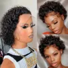 Human Chignons Pixie Cut Perruque Short Curly Hair Wigs Bresillienne Remy 13x1 Transparent Lace for Women Sale 230617