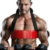 Gants de sport Haltérophilie Bras Blaster Biceps Formation Réglable En Aluminium Musculation Gym Curl Triceps Avant-Bras Entraîneur Équipement De Fitness 230616