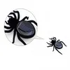 Novelty Games Children Toy Plastic Solar Power Ant Cockroach Spider Tortoise Crab Butterfly Insect Teaching Kid Gift 230617