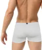 Onderbroek 2023 Merk AUSTINBEM Heren Sexy Effen Ondergoed Bunch Modal Home Leisure Boxers