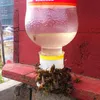 Dostarcza ula plastikowa pszczoła pszczoła pszczoły podajnik napój wodny fontanny pszczelarstwa pszczela