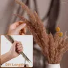 Decorative Flowers 110PCS Dried Pampas Grass Boho Decor Natural Fluffy For Home Bathroom