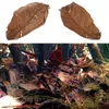 Aquariums 50pcs Natural Catappa Leaves Almond Leaf Fish Cleaning Treatment Aquarium Tank 230617