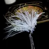 Hair Clips 2pcs Fringed Feather Clip Wedding Accessories For Women Outdoor Show Performances Hairpin Bride Tiaras Jewelry