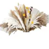 Decorative Flowers 110PCS Dried Pampas Grass Boho Decor Natural Fluffy For Home Bathroom