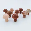 Champignon en cristal naturel 2 cm Mini petit champignon cristal Agate artisanat Micro paysage ornement ornement GG