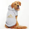 Felpa con cappuccio di moda grande cane da gatto cool vestiti per cucciolo inverno autunno gattino gattino oro golden hoodie stampato con cappuccio acceso del cucciolo designer jumper