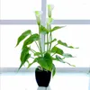 Flores decorativas 40CM Artificial Calla Flower Bundle Plastic Green Plants DIY Home Paisagismo Material Casa Ano Decoração Acessórios