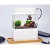 Tanks Mini Betta Aquarium Desktop Marine Aquaponic Aquarium Fische Schüssel mit Wasser Fliter LED Licht USB Luftpumpe Tragbare Dekorationen