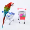 Nyhetsspel Intressant Bird Training Toy Supplies Basketball Rack Lovebird Shopping Cart Birt Toy Shoes Canary Skateboard Parrot Toy Accessories 230617