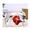 Réservoirs Lampes de Montagne de Neige pour Aquarium Verre épaissi Aquariums de Poissons Mini Fishbowl Petit Terrarium Réservoirs Bol Aquatique Animal de Compagnie décorer