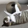 Toys corrugados redondos engraçados gato de animais de arranhão forma dobrável bola de gato bola tolo