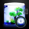 Tanks 20cm 5l Small Acrylic Desktop Fish Tank USB mini table de réservoir d'aquarium décorer le LED Light Pump Filtre Sponge Mini Neverelse