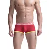 Underpants AIIOU Sexy Mens Boxer Short Underwear Panties U Convex Large Pouch Breathing Breathable Mesh Hole Men Trunk