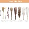 Decorative Flowers 110PCS Dried Pampas Grass Boho Decor Natural Fluffy For Home Bathroom