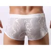 Cuecas boxers sexy masculinas de renda cuecas transparentes transparentes shorts boxers eróticos